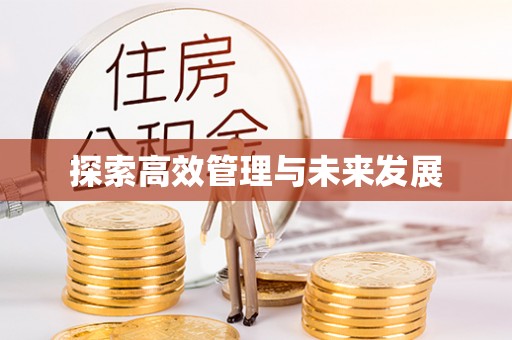 栾城探索高效管理与未来发展