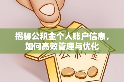 栾城揭秘公积金个人账户信息，如何高效管理与优化