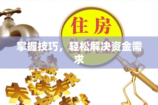 栾城掌握技巧，轻松解决资金需求
