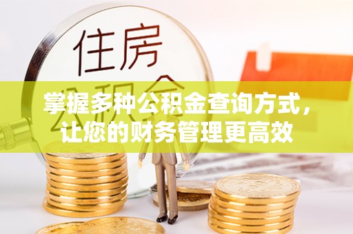 栾城掌握多种公积金查询方式，让您的财务管理更高效