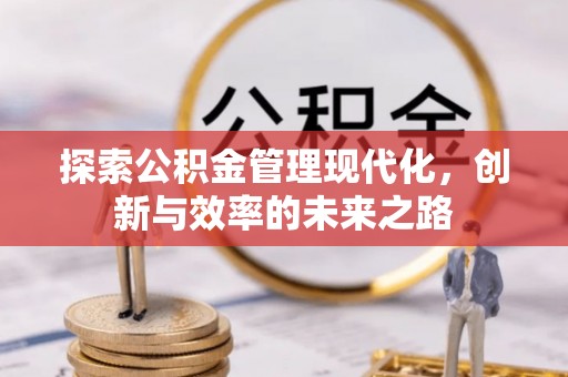 栾城探索公积金管理现代化，创新与效率的未来之路