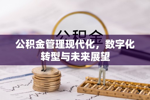 栾城公积金管理现代化，数字化转型与未来展望
