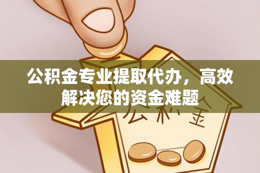 栾城公积金专业提取代办，高效解决您的资金难题