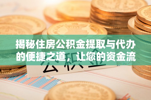栾城揭秘住房公积金提取与代办的便捷之道，让您的资金流动更高效