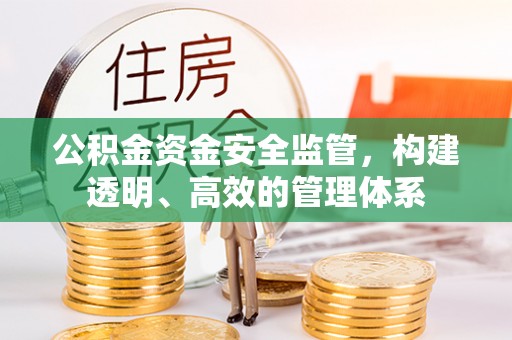 栾城公积金资金安全监管，构建透明、高效的管理体系