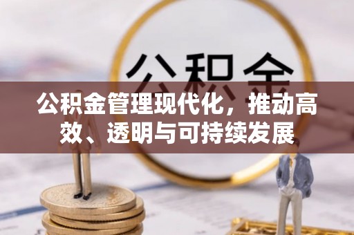 栾城公积金管理现代化，推动高效、透明与可持续发展