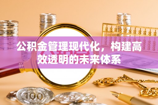 栾城公积金管理现代化，构建高效透明的未来体系