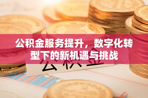 栾城公积金服务提升，数字化转型下的新机遇与挑战