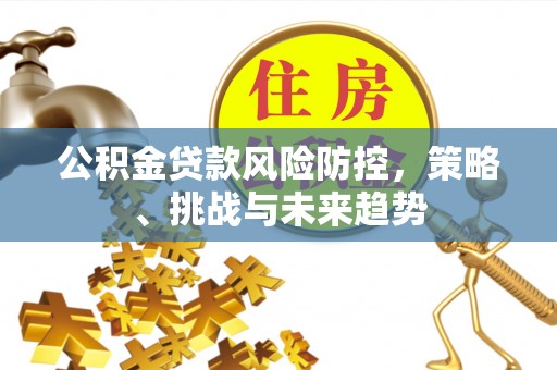 栾城公积金贷款风险防控，策略、挑战与未来趋势