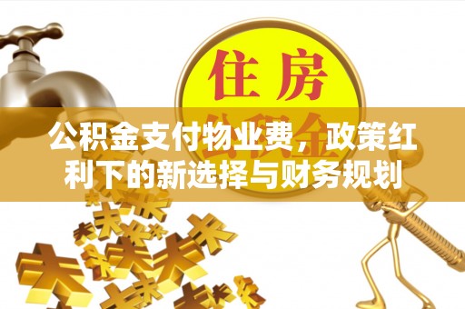 栾城公积金支付物业费，政策红利下的新选择与财务规划