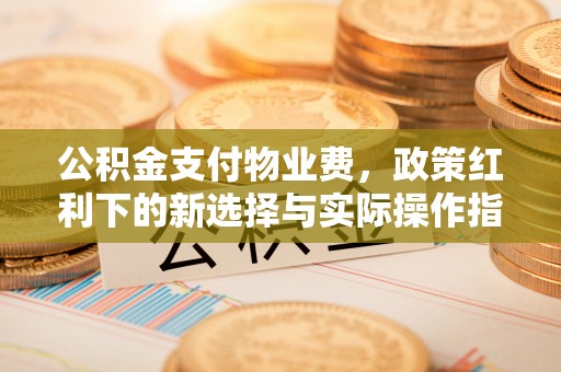 栾城公积金支付物业费，政策红利下的新选择与实际操作指南