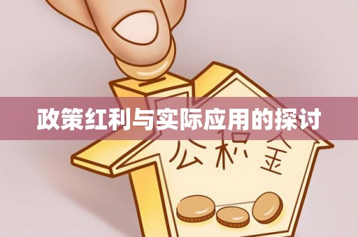 栾城政策红利与实际应用的探讨