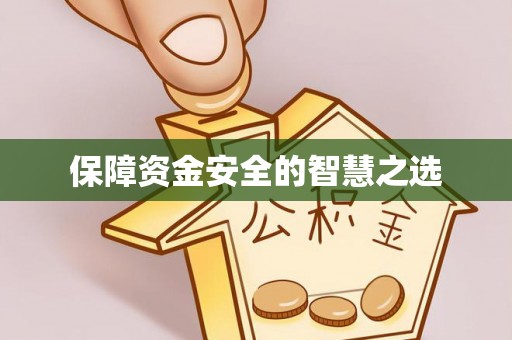 栾城保障资金安全的智慧之选