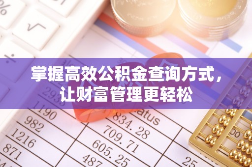 栾城掌握高效公积金查询方式，让财富管理更轻松