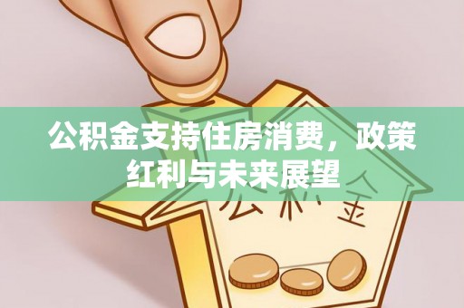 栾城公积金支持住房消费，政策红利与未来展望