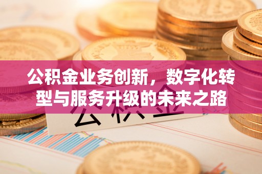 栾城公积金业务创新，数字化转型与服务升级的未来之路