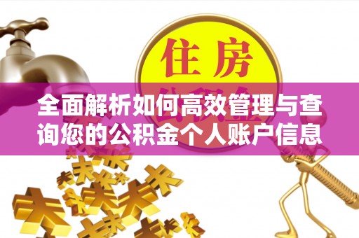 栾城全面解析如何高效管理与查询您的公积金个人账户信息