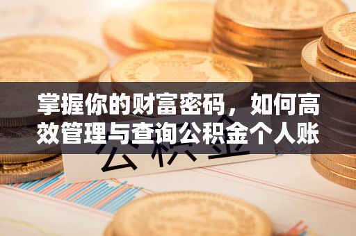 栾城掌握你的财富密码，如何高效管理与查询公积金个人账户信息