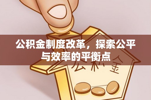 栾城公积金制度改革，探索公平与效率的平衡点