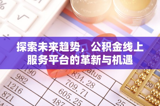 栾城探索未来趋势，公积金线上服务平台的革新与机遇