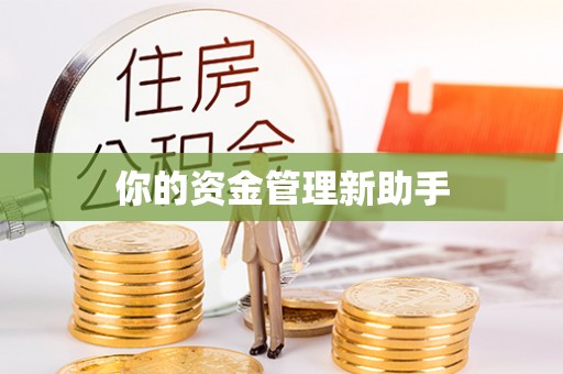 栾城你的资金管理新助手