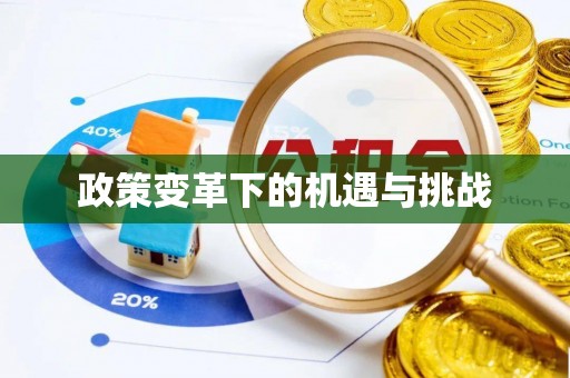 栾城政策变革下的机遇与挑战