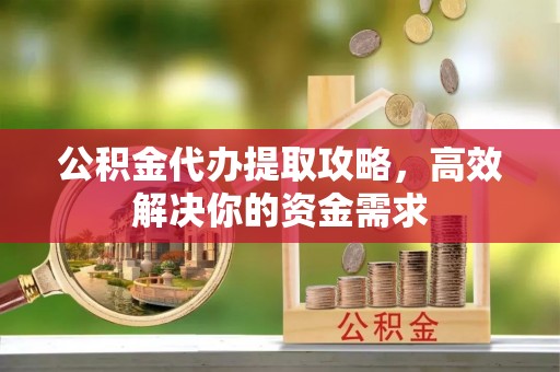 栾城公积金代办提取攻略，高效解决你的资金需求