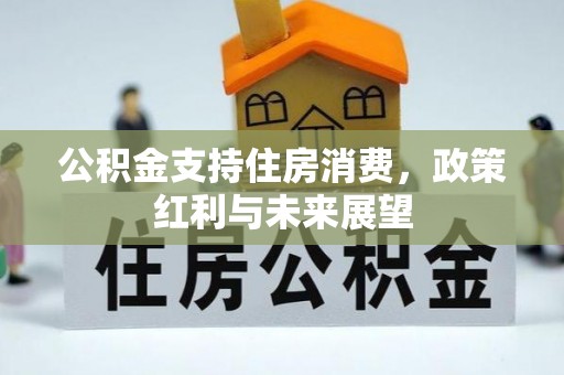 栾城公积金支持住房消费，政策红利与未来展望