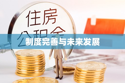 栾城制度完善与未来发展