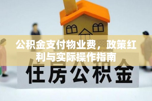 栾城公积金支付物业费，政策红利与实际操作指南