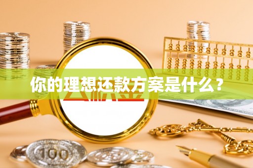 栾城你的理想还款方案是什么？