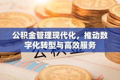 栾城公积金管理现代化，推动数字化转型与高效服务