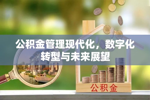 栾城公积金管理现代化，数字化转型与未来展望