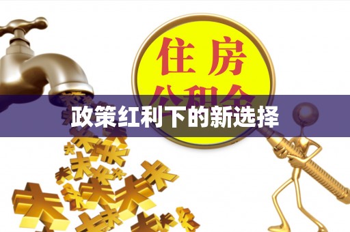 栾城政策红利下的新选择