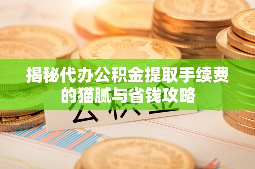 栾城揭秘代办公积金提取手续费的猫腻与省钱攻略