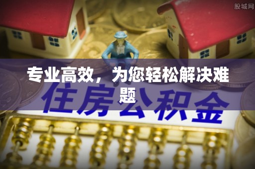 栾城专业高效，为您轻松解决难题