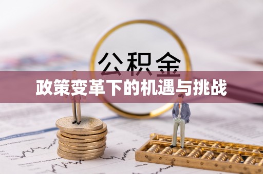 栾城政策变革下的机遇与挑战