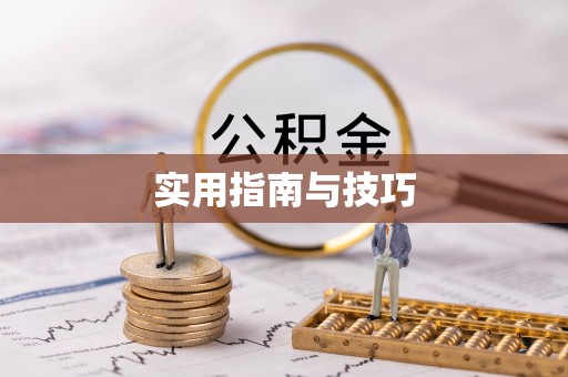 栾城实用指南与技巧