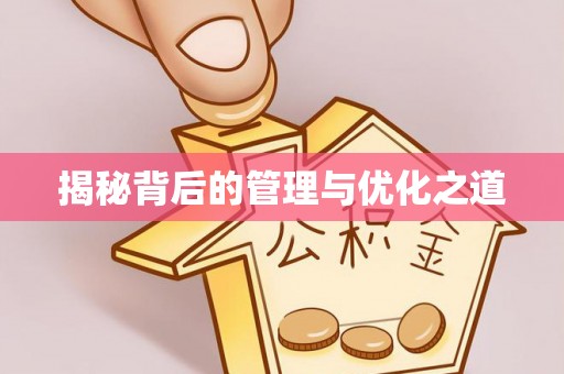 栾城揭秘背后的管理与优化之道