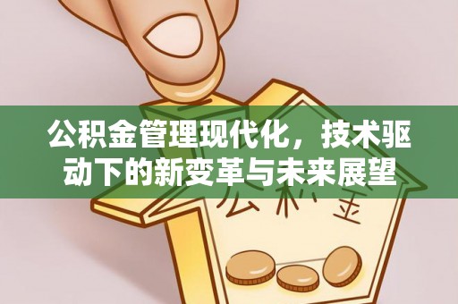 栾城公积金管理现代化，技术驱动下的新变革与未来展望