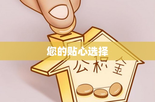 栾城您的贴心选择