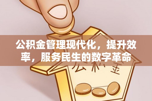 栾城公积金管理现代化，提升效率，服务民生的数字革命