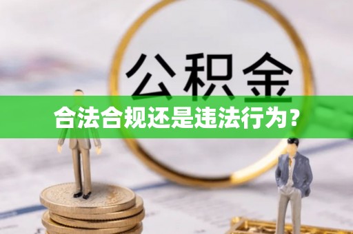 栾城合法合规还是违法行为？