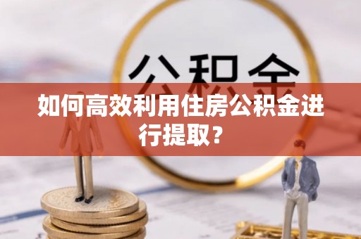 栾城如何高效利用住房公积金进行提取？
