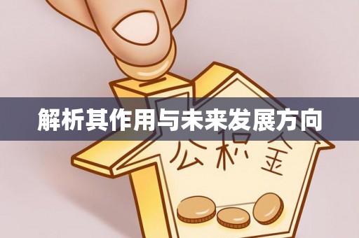 栾城解析其作用与未来发展方向