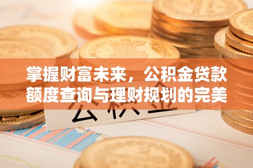 栾城掌握财富未来，公积金贷款额度查询与理财规划的完美结合