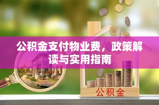 栾城公积金支付物业费，政策解读与实用指南