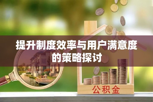 栾城提升制度效率与用户满意度的策略探讨