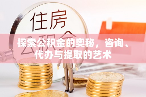 栾城探索公积金的奥秘，咨询、代办与提取的艺术